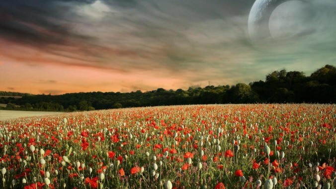 吴艳妮做错了什么?